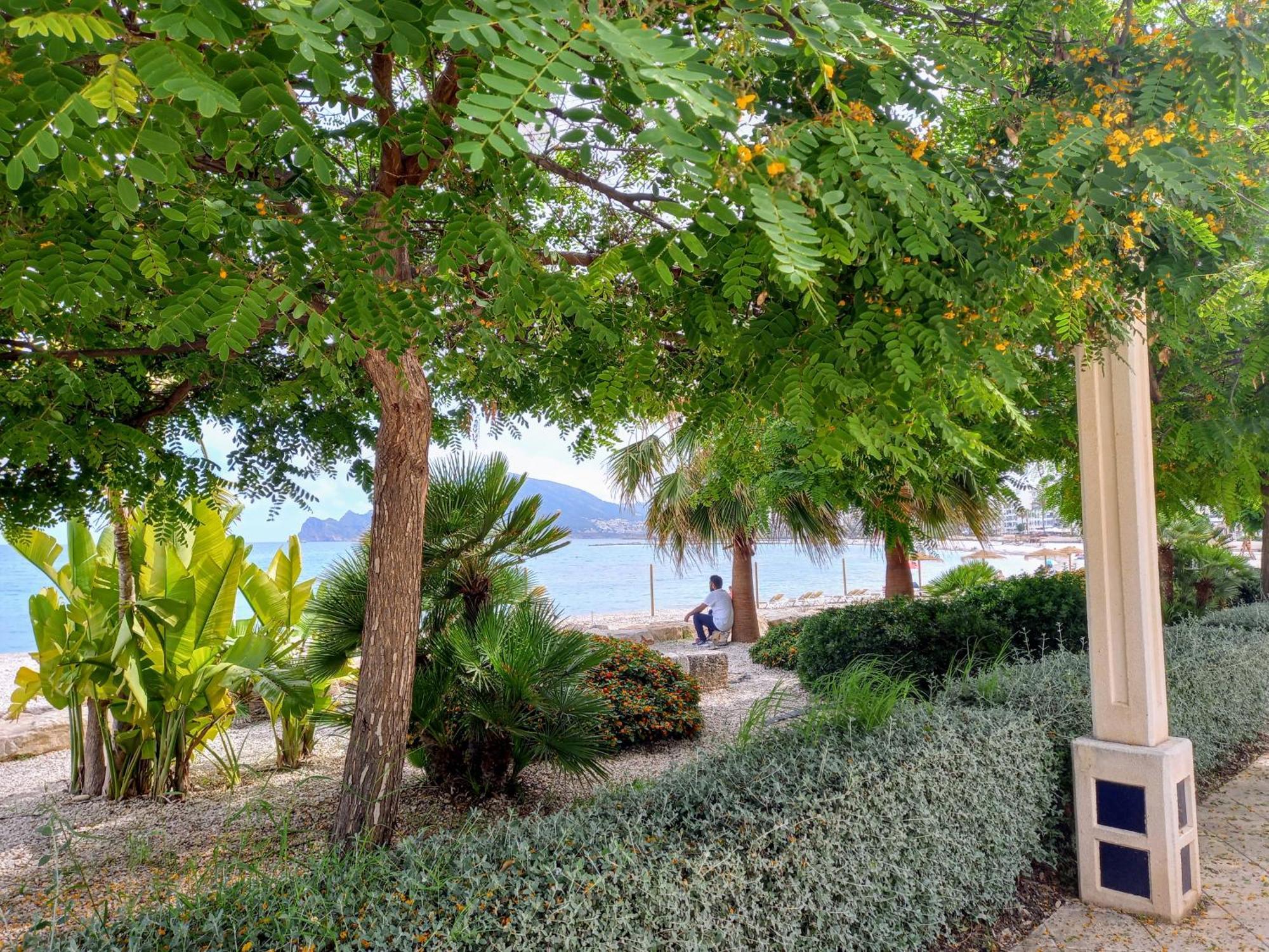 Townhouse Los Olivos M Altea Buitenkant foto